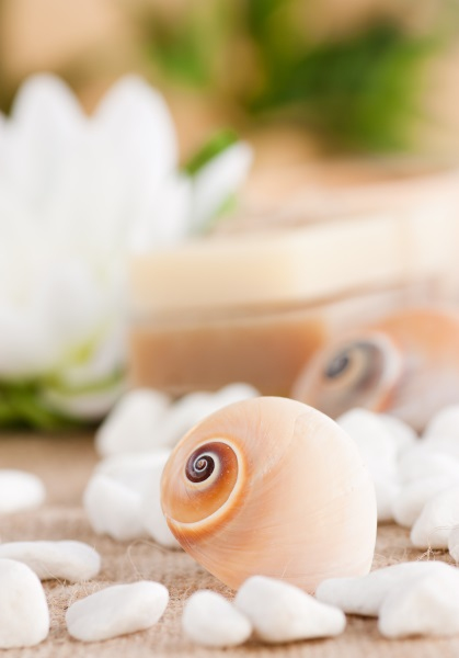 Улитки ахатины в косметологии: как пользоваться?