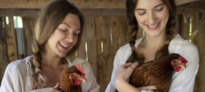 Куриные эмбрионы против старения