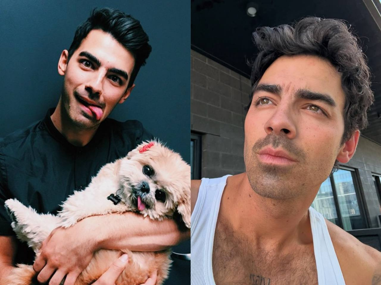 Джо Джонас, источник фото: социальные сети